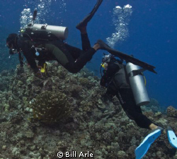 Big Island, Hawaii. by Bill Arle 